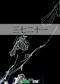 三七二十一