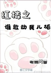 紅樓之誰敢動我兒砸